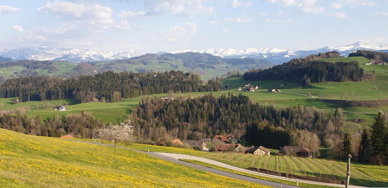 Bnb Alpenblick Lütisburg Dış mekan fotoğraf